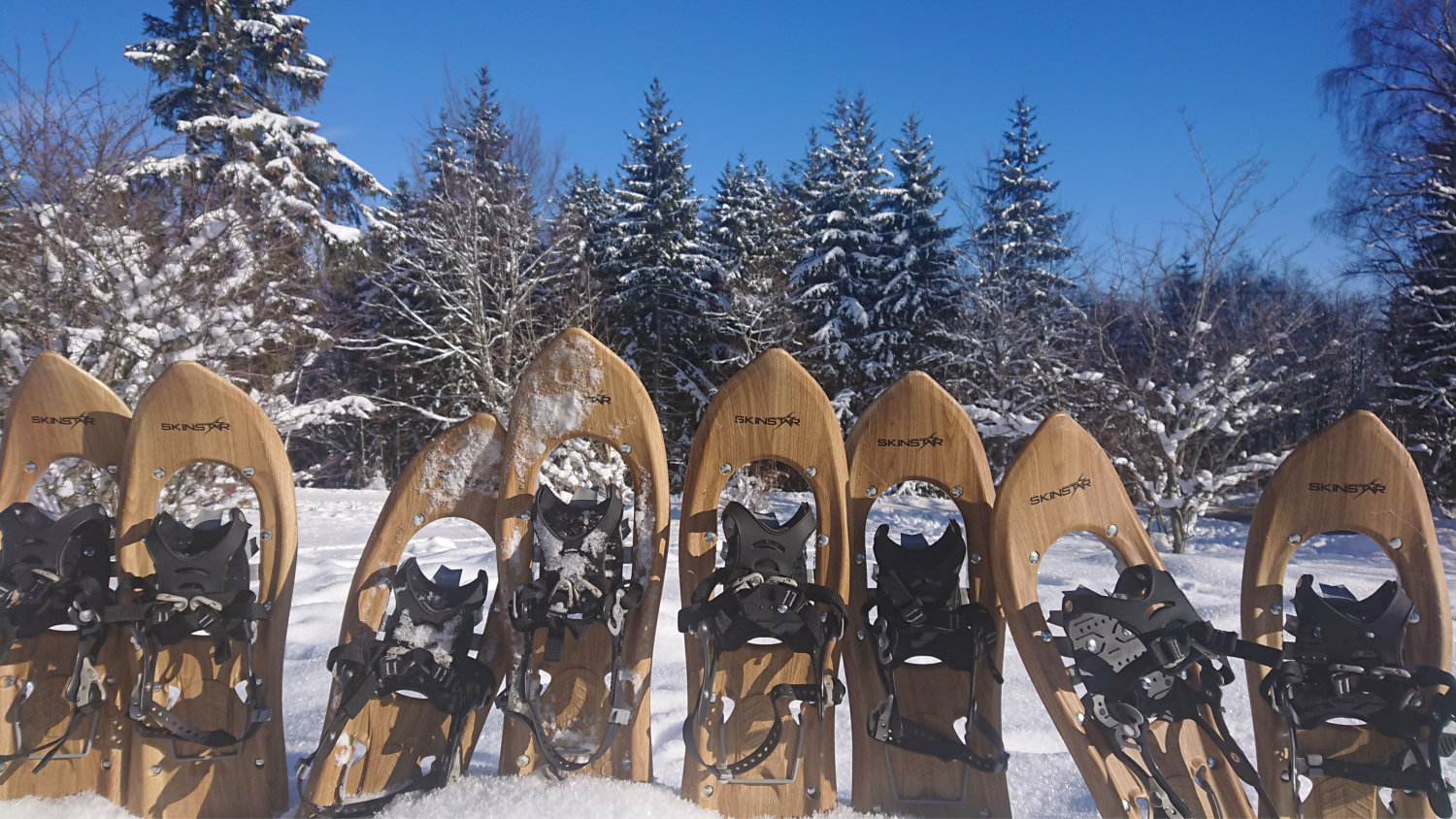 Schneeschuh-Wanderung