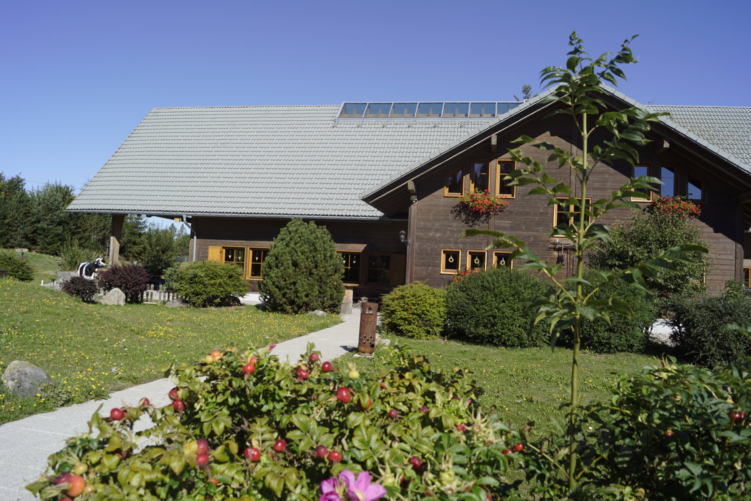 Hygieneregeln Teamwelt