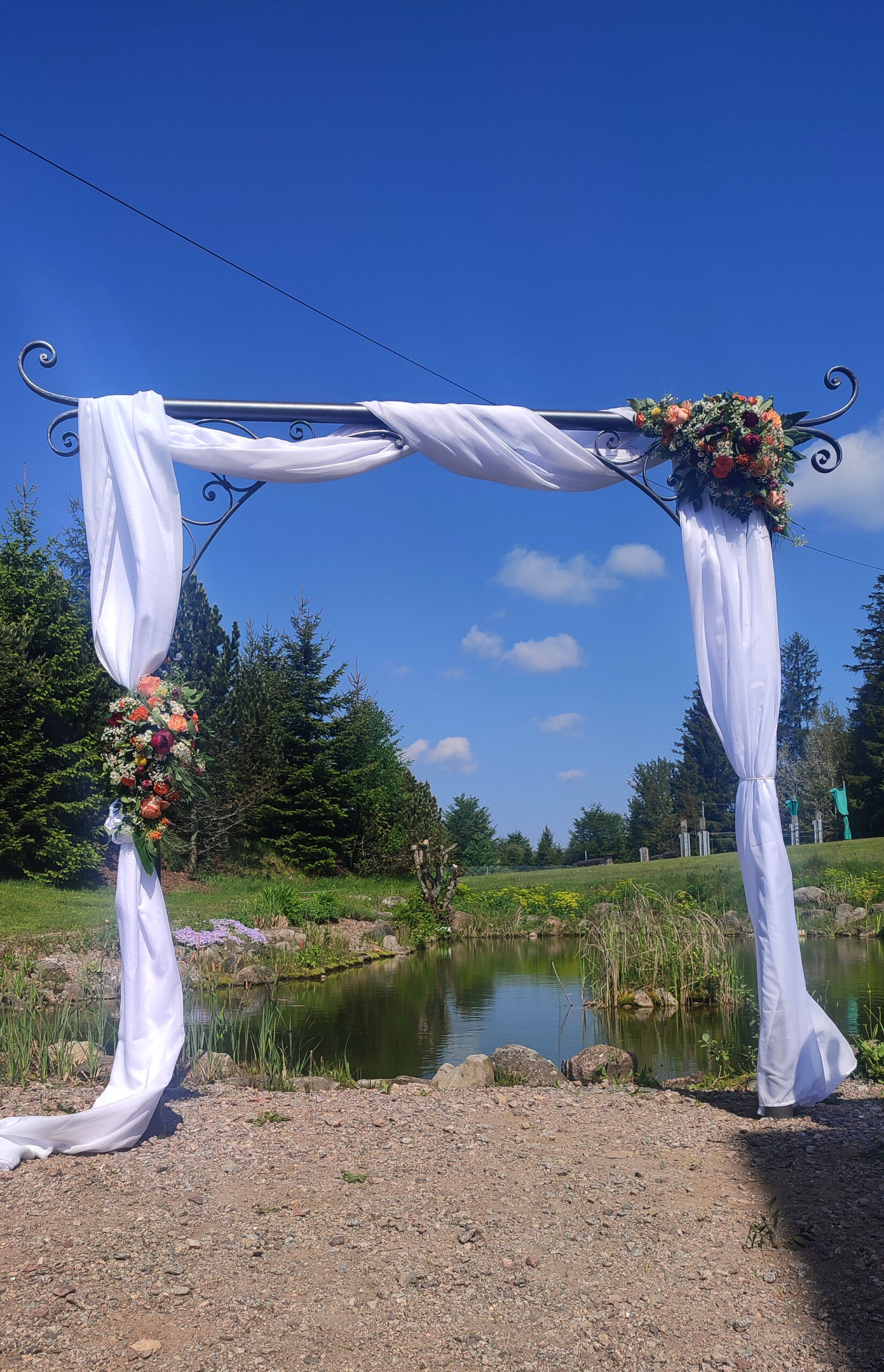 Traubogen Schwarzwald